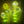 Ground stake outdoor waterproof solar dandelion onion ball light - park, square, courtyard, garden decorative lawn light