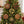 DIY Christmas Diamond Art Ornament Kit, Multiple Shapes Hanging Decor for Xmas Tree, Holiday DIY Craft & Handmade Gift