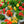 Nasturtium seeds for spring, summer, and autumn planting, suitable for garden, indoor, and balcony potted flowers, green plants, climbing plants, and water lotus varieties
