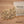 Nasturtium seeds for spring, summer, and autumn planting, suitable for garden, indoor, and balcony potted flowers, green plants, climbing plants, and water lotus varieties