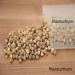 Nasturtium seeds for spring, summer, and autumn planting, suitable for garden, indoor, and balcony potted flowers, green plants, climbing plants, and water lotus varieties