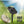GRAND PATIO Fairy Solar String Light