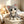 Petite 3D Beaded Animal Craft Kit DIY Animal Bead Set