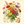 Zinnia seeds that bloom all year, perfect for courtyard flower beds and beautiful rural gardens