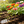 Zinnia seeds that bloom all year, perfect for courtyard flower beds and beautiful rural gardens