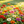 Zinnia seeds that bloom all year, perfect for courtyard flower beds and beautiful rural gardens