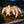 LED solar wisteria flower light with four heads, realistic flower lawn light, outdoor yard stake decorative garden landscape light