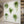 🔥HOT SALE-42% OFF🌿3D Green Plant Wall Sticker(Buy 2 Get 1 Free)