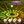Solar Lawn Light Outdoor Ground Stake Lamp Outdoor Garden Landscape Light Super Bright Garden Grass Light Waterproof Courtyard Light