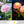 Outdoor LED Solar Courtyard Decorative Lights, Hydrangea Lights, Outdoor Garden Atmosphere Waterproof Firework Lights, Villa Decoration