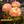 Outdoor LED Solar Courtyard Decorative Lights, Hydrangea Lights, Outdoor Garden Atmosphere Waterproof Firework Lights, Villa Decoration