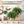 🌿🏡Artificial Hanging Fern Plant – Effortless Greenery for Home & Garden