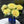 🌺The queen of flowers-ouble petaled piani seeds