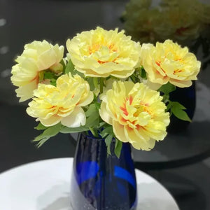 🌺The queen of flowers-ouble petaled piani seeds