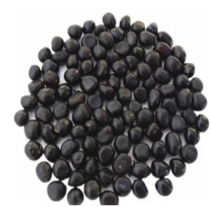 🌺The queen of flowers-ouble petaled piani seeds