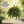 🌿🏡Artificial Hanging Fern Plant – Effortless Greenery for Home & Garden