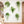 🔥HOT SALE-42% OFF🌿3D Green Plant Wall Sticker(Buy 2 Get 1 Free)