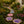 Reusable Decorative Garden Stepping Stone Mold