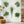 🔥HOT SALE-42% OFF🌿3D Green Plant Wall Sticker(Buy 2 Get 1 Free)