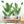 🔥HOT SALE-42% OFF🌿3D Green Plant Wall Sticker(Buy 2 Get 1 Free)