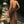 Victoria Backless Cami Dress