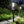 Solar Pathway Lights — Outdoor Garden & Walkway Fixtures