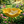 🎁Handmade Metal Flower Garden Stake Bird Bath🐦