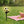 Fun Sporty Solar Light for Garden Decoration✨