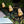 Solar Owl Garden Decorative Landscape Light