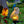 Solar Owl Garden Decorative Landscape Light