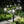 Solar Pathway Lights — Outdoor Garden & Walkway Fixtures