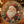 🔥Last Day 49% OFF-🎄Christmas Diamond Art Hanging Ornament Kit