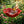 🎁Handmade Metal Flower Garden Stake Bird Bath🐦
