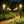 Solar Pathway Lights — Outdoor Garden & Walkway Fixtures
