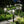 Solar Pathway Lights — Outdoor Garden & Walkway Fixtures