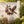 🐦 Hummingbird Bloom Metal Wall Art 🌸 Elegant Home Decor