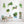 🔥HOT SALE-42% OFF🌿3D Green Plant Wall Sticker(Buy 2 Get 1 Free)
