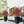 🔥Outdoor/Indoor UV Resistant & Waterproof Artificial Flower Decor ✅
