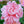 🌺The queen of flowers-ouble petaled piani seeds