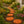 Reusable Decorative Garden Stepping Stone Mold