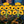 🌞Solar LED Sunflower Garden Lights-29.6inch/74cm