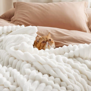 Snuggle Up in Style! 🛋️✨ Discover the Ultimate Striped Flannel Fleece Blanket – Your Cozy Companion for Every Season! 🌈🧣