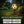 Fun Sporty Solar Light for Garden Decoration✨