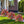 🔥Outdoor/Indoor UV Resistant & Waterproof Artificial Flower Decor ✅