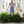 🏆Flash Sale⚡ 50K+ SOLD!🔥🌱 UV-Resistant Lifelike Artificial Boston Fern 🌳