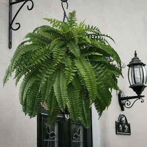 🏆Flash Sale⚡ 50K+ SOLD!🔥🌱 UV-Resistant Lifelike Artificial Boston Fern 🌳