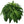 🏆Flash Sale⚡ 50K+ SOLD!🔥🌱 UV-Resistant Lifelike Artificial Boston Fern 🌳