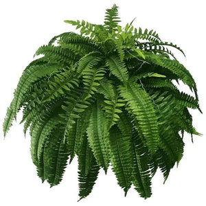 🏆Flash Sale⚡ 50K+ SOLD!🔥🌱 UV-Resistant Lifelike Artificial Boston Fern 🌳