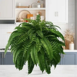 🏆Flash Sale⚡ 50K+ SOLD!🔥🌱 UV-Resistant Lifelike Artificial Boston Fern 🌳